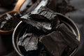 Shilajit (10:1)