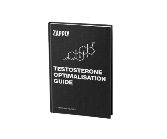 Testosterone Transformation E-Book